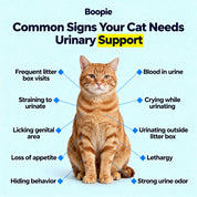 Urinary Health Complex