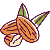 almond_1.png