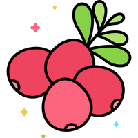 canneberge.png