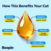 Urinary Health Complex
