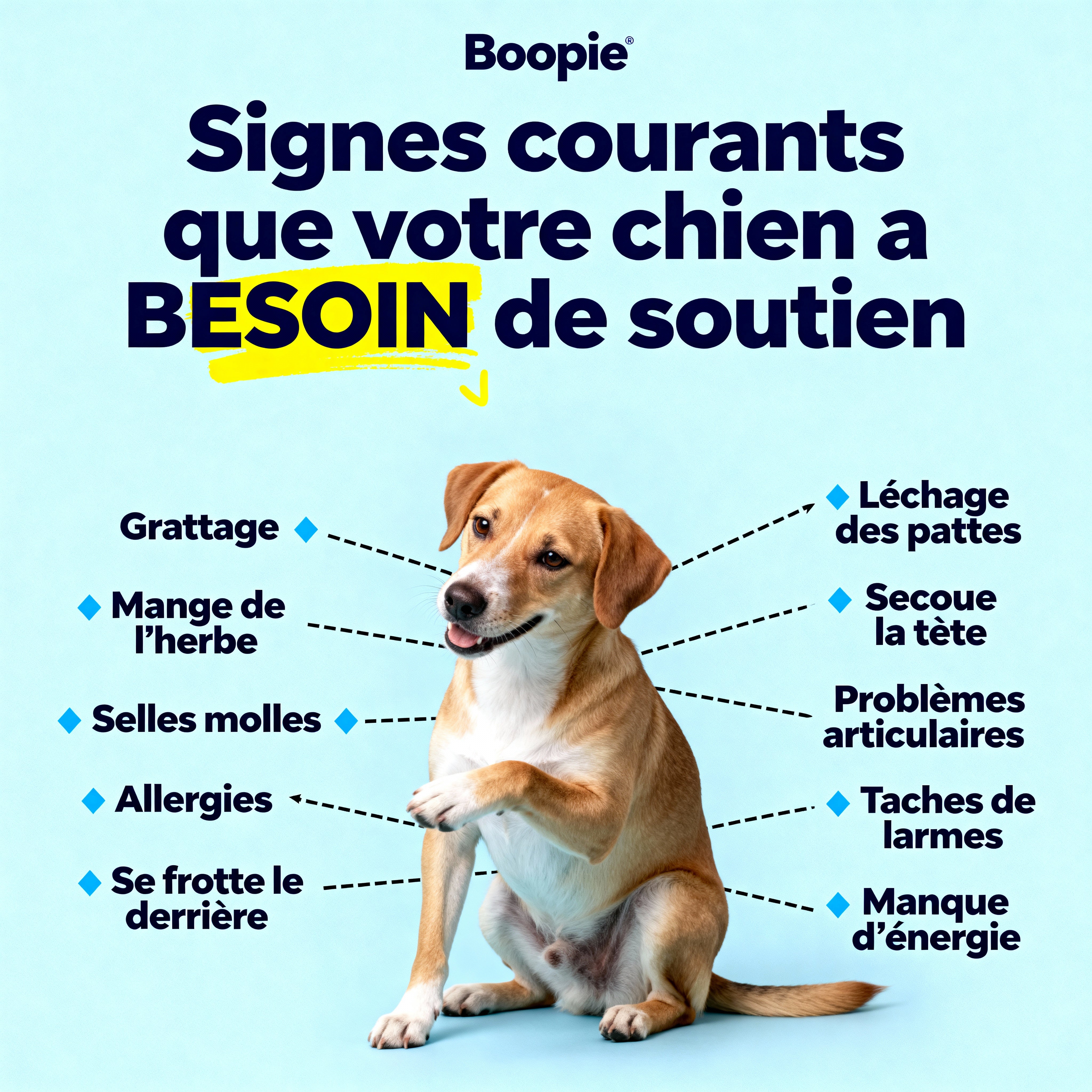 f8ab9392-52f3-466b-b06c-d54c68a587a4.jpg