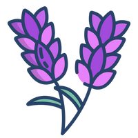 lavender.png